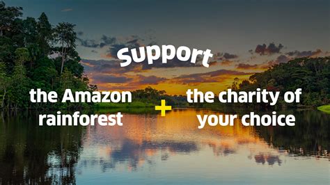 amazon rainforest charities|Protecting the Amazon and our climate in solidarity with .